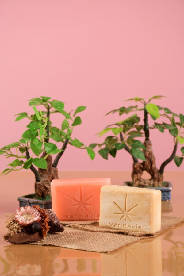 Imagen artistica del jabon natural de la marca Vannavis